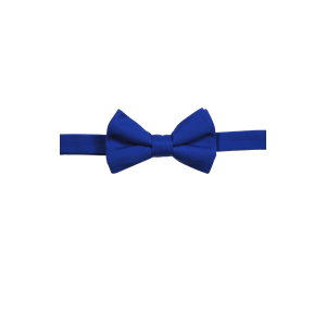 MENS TEFLON TREATED BOW TIE  -  ROYAL ONE SIZE TIE SOLID